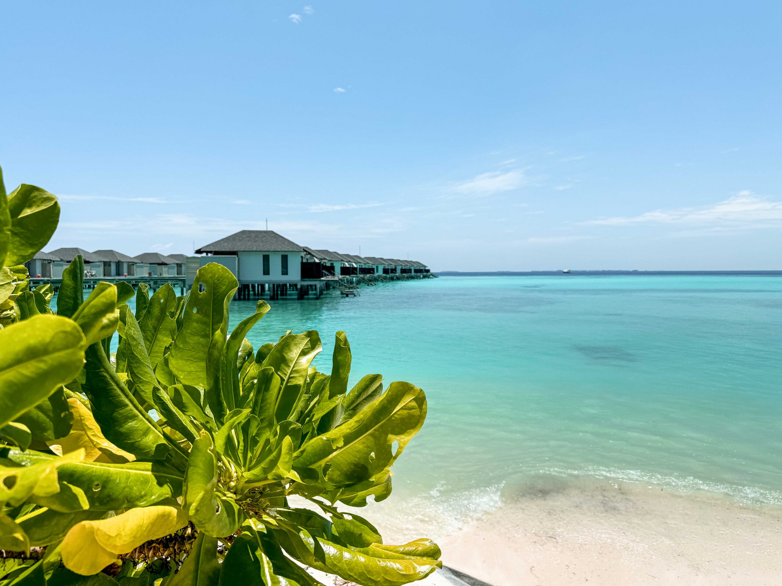 NH Collection Havodda